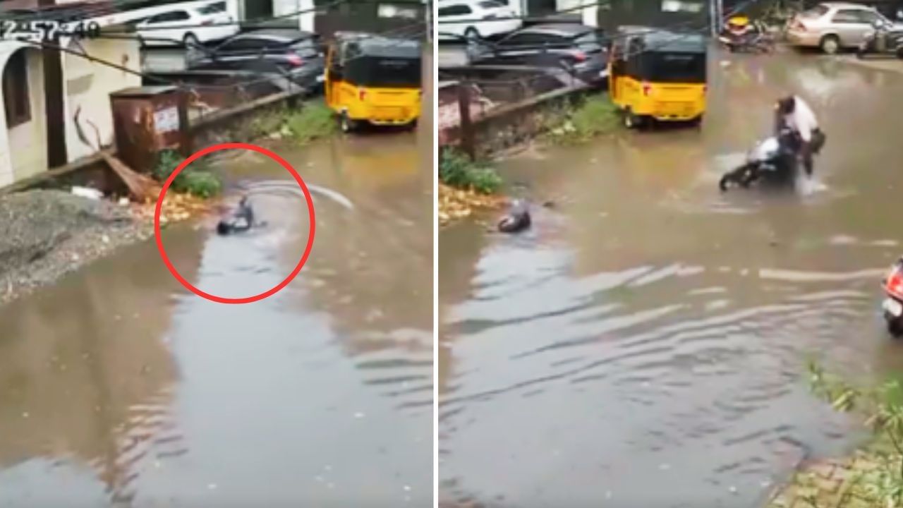 Viral: ਕਰੰਟ ਨਾਲ ਤੜਪ ਰਿਹਾ ਸੀ ਬੱਚਾ, ਨੌਜਵਾਨ ਨੇ ਬਚਾਈ ਜਾਨ, ਦਿਲ ਛੂਹ ਲਵੇਗੀ VIDEO Viral: ਕਰੰਟ ਨਾਲ ਤੜਪ ਰਿਹਾ ਸੀ ਬੱਚਾ, ਨੌਜਵਾਨ ਨੇ ਬਚਾਈ ਜਾਨ, ਦਿਲ ਛੂਹ ਲਵੇਗੀ VIDEO