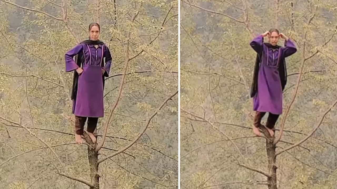 OMG: ਕਸ਼ਮੀਰੀ ਔਰਤ ਨੇ ਪੇੜ੍ਹ ਤੇ ਚੜ੍ਹ ਕੇ ਕੀਤਾ ਡਾਂਸ, VIDEO ਦੇਖ ਦੰਗ ਰਹਿ ਗਏ ਲੋਕ