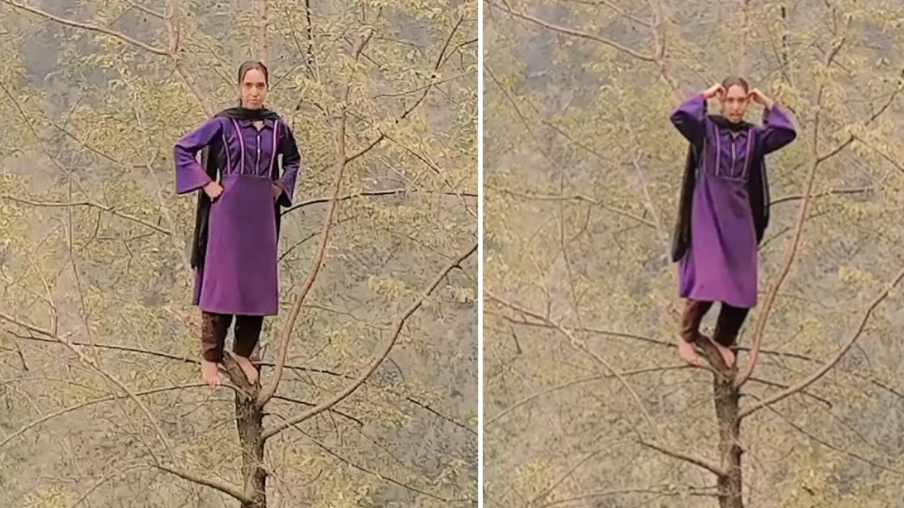 OMG: ਕਸ਼ਮੀਰੀ ਔਰਤ ਨੇ ਪੇੜ੍ਹ ‘ਤੇ ਚੜ੍ਹ ਕੇ ਕੀਤਾ ਡਾਂਸ, VIDEO ਦੇਖ ਦੰਗ ਰਹਿ ਗਏ ਲੋਕ OMG: ਕਸ਼ਮੀਰੀ ਔਰਤ ਨੇ ਪੇੜ੍ਹ ‘ਤੇ ਚੜ੍ਹ ਕੇ ਕੀਤਾ ਡਾਂਸ, VIDEO ਦੇਖ ਦੰਗ ਰਹਿ ਗਏ ਲੋਕ