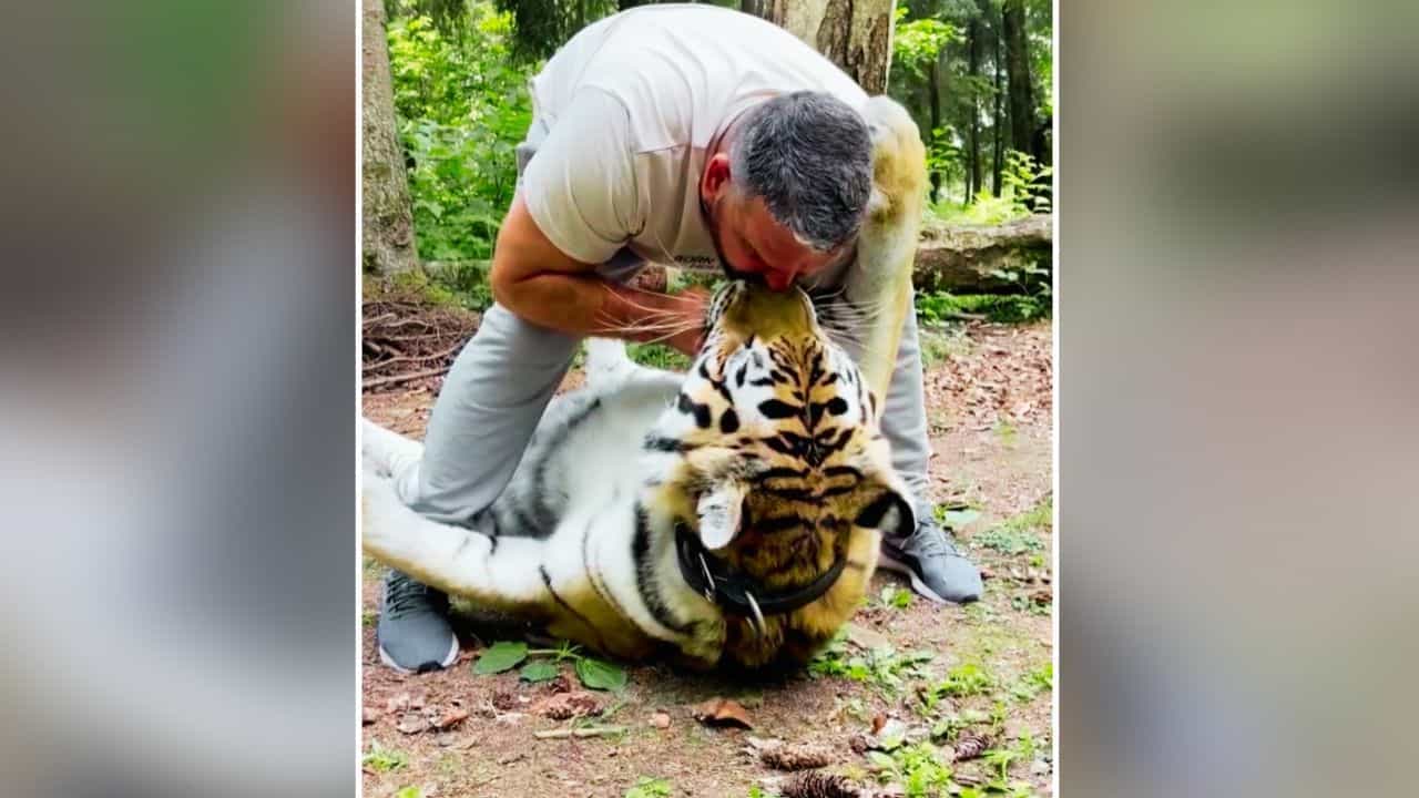 OMG: ਸ਼ਖਸ ਨੇ ਖੁੰਖਾਰ ਸ਼ੇਰ ਨੂੰ ਫੜ ਕੇ ਕੀਤੀ KISS, ਵੀਡੀਓ ਦੇਖ ਉੱਡ ਜਾਣਗੇ ਹੋਸ਼ OMG: ਸ਼ਖਸ ਨੇ ਖੁੰਖਾਰ ਸ਼ੇਰ ਨੂੰ ਫੜ ਕੇ ਕੀਤੀ KISS, ਵੀਡੀਓ ਦੇਖ ਉੱਡ ਜਾਣਗੇ ਹੋਸ਼