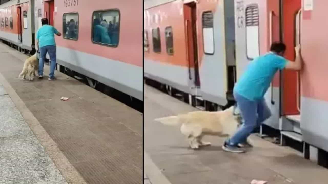 Viral Video: ਚੱਲਦੀ ਰੇਲਗੱਡੀ ਚ ਕੁੱਤੇ ਨੂੰ ਚੜ੍ਹਾਉਣ ਦੀ ਕੋਸ਼ਿਸ਼ ਕਰ ਰਿਹਾ ਸੀ ਸ਼ਖਸ, ਪਰ ਜੋ ਹੋਇਆ ਦੇਖ ਕੇ ਕੰਬ ਜਾਵੇਗੀ ਰੂਹ
