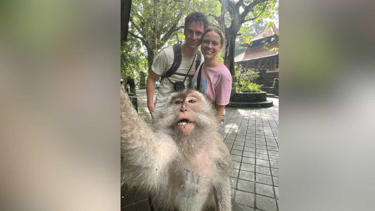 Viral Photo: ਬਾਂਦਰ ਨੇ ਕਪਲ ਨਾਲ ਲਈ ਸੈਲਫੀ! ਫੋਟੋਜੈਨਿਕ ਬਾਂਦਰ ਦੀ ਵਾਇਰਲ ਫੋਟੋ ਨੇ ਜਿੱਤ ਲਏ ਲੋਕਾਂ ਦੇ ਦਿਲ