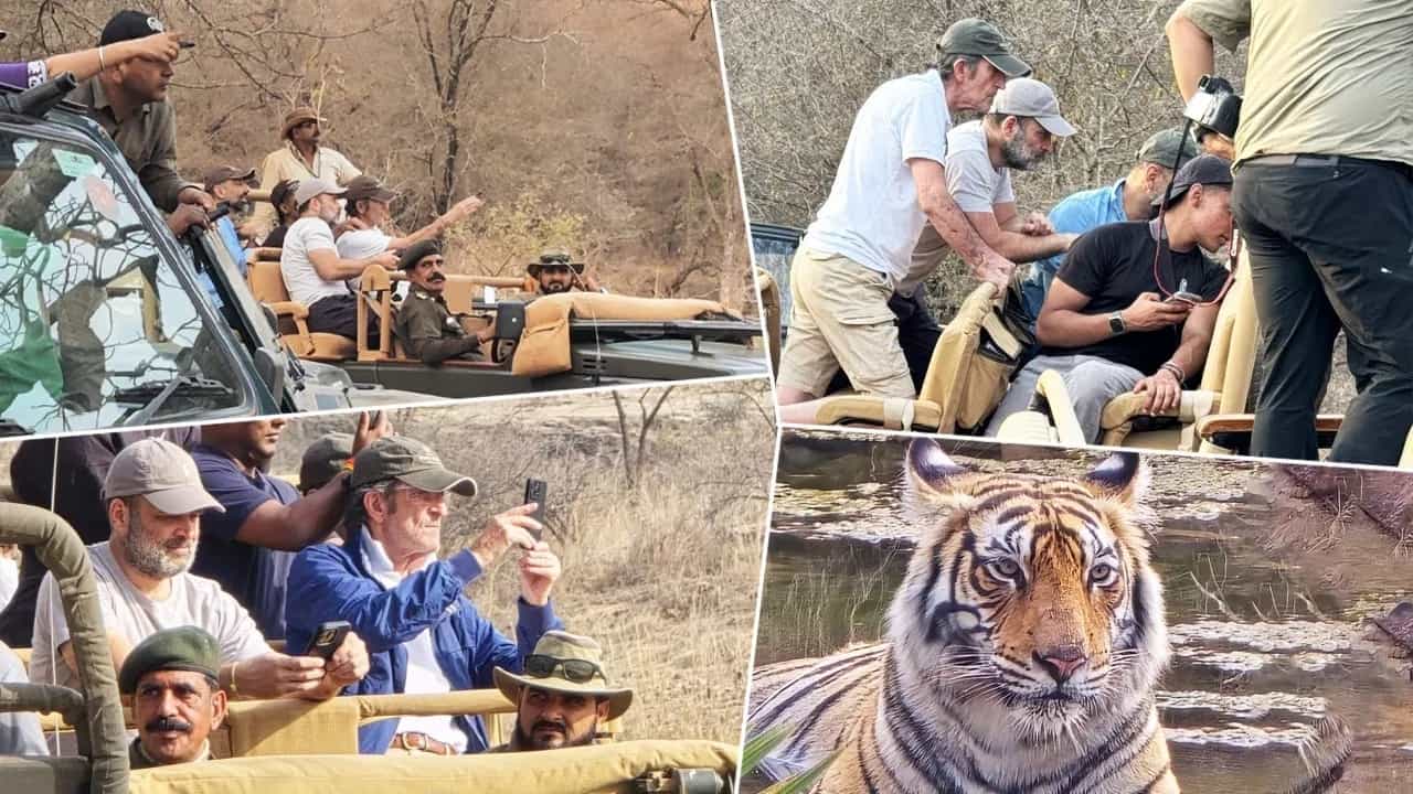 ਛੁੱਟੀਆਂ ਬਿਤਾਉਣ ਰਣਥੰਭੋਰ ਨੈਸ਼ਨਲ ਪਾਰਕ ਪਹੁੰਚੇ ਰਾਹੁਲ ਗਾਂਧੀ, ਸ਼ੇਰ ਦੇ ਬੱਚਿਆ ਦੀ ਮਸਤੀ ਦਾ ਮਾਣਿਆ ਆਨੰਦ