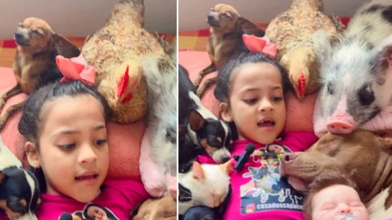 Viral: ਇਸ ਕੁੜੀ ਕੋਲ ਹੈ ਸੁਪਰਪਾਵਰ!  ਗਾਉਂਦੀ ਹੈ ਲੋਰੀ ਅਤੇ ਸੌਂ ਜਾਂਦੇ ਹਨ ਜਾਨਵਰ