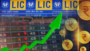 ਡਿੱਗਦੇ ਬਾਜ਼ਾਰ 'ਚ LIC ਦਾ ਸ਼ੇਅਰ ਬਣਿਆ ਰਾਕੇਟ, ਕੰਪਨੀ ਨੇ ਕੀਤਾ ਵੱਡਾ ਐਲਾਨ