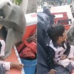Viral Video : ਬੱਚੇ ਤੋਂ ਲੰਗੂਰ ਨੇ ਖੋਹੀ ਰੋਟੀ, ਰੋਂਦਾ ਰਿਹਾ ਬੱਚਾ ਅਤੇ ਪਿਤਾ ਬਣਾਉਂਦਾ ਰਿਹਾ ਵੀਡੀਓ Viral Video : ਬੱਚੇ ਤੋਂ ਲੰਗੂਰ ਨੇ ਖੋਹੀ ਰੋਟੀ, ਰੋਂਦਾ ਰਿਹਾ ਬੱਚਾ ਅਤੇ ਪਿਤਾ ਬਣਾਉਂਦਾ ਰਿਹਾ ਵੀਡੀਓ