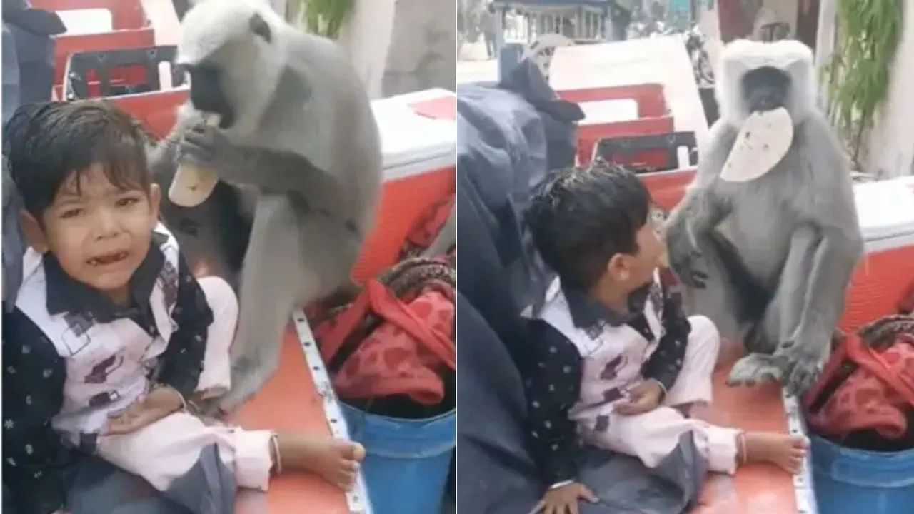 Viral Video : ਬੱਚੇ ਤੋਂ ਲੰਗੂਰ ਨੇ ਖੋਹੀ ਰੋਟੀ,  ਰੋਂਦਾ ਰਿਹਾ ਬੱਚਾ ਅਤੇ ਪਿਤਾ ਬਣਾਉਂਦਾ ਰਿਹਾ ਵੀਡੀਓ