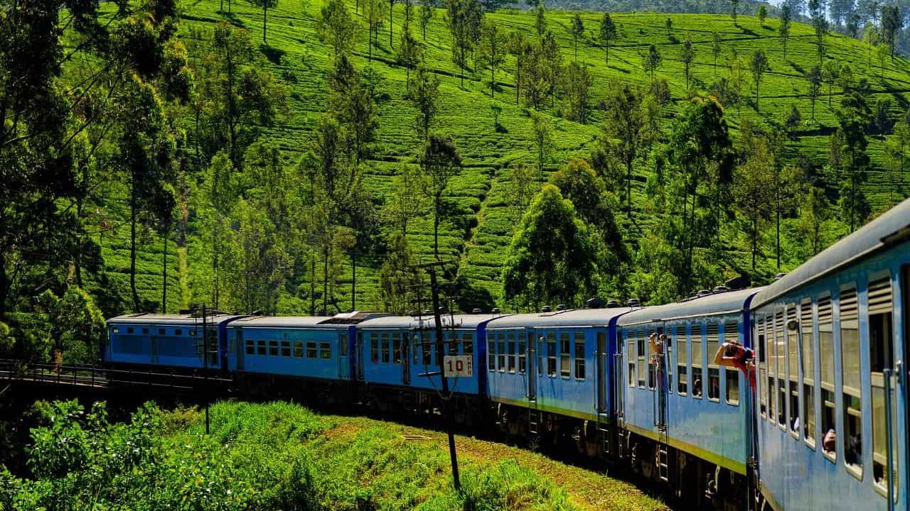 ਟ੍ਰੇਨ ਸਫਾਰੀ ਦਾ ਵੱਖਰਾ ਨਜ਼ਾਰਾ, ਦੇਸ਼ ਦੀਆਂ ਇਨ੍ਹਾਂ ਥਾਵਾਂ ਤੇ ਕਰ ਸਕਦੇ ਹੋ ਸਫਰ ਟ੍ਰੇਨ ਸਫਾਰੀ ਦਾ ਵੱਖਰਾ ਨਜ਼ਾਰਾ, ਦੇਸ਼ ਦੀਆਂ ਇਨ੍ਹਾਂ ਥਾਵਾਂ ਤੇ ਕਰ ਸਕਦੇ ਹੋ ਸਫਰ
