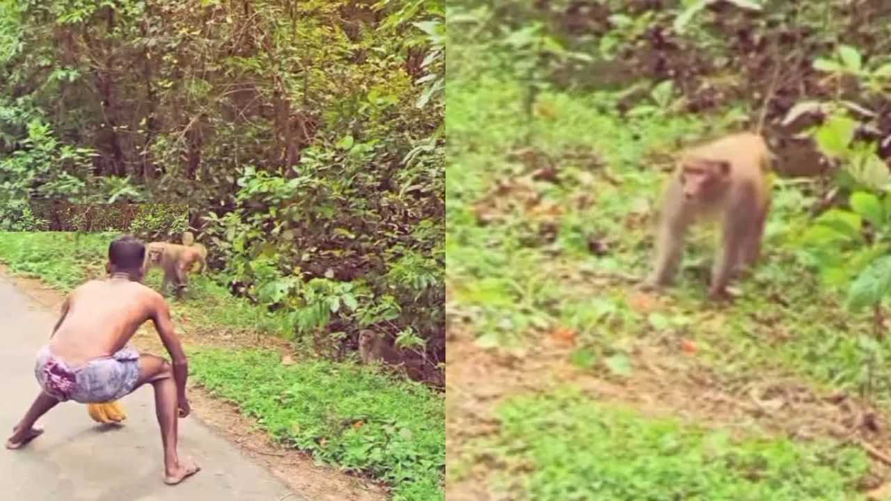 Viral Video:  ਬਾਂਦਰ ਨੂੰ ਉਸਦੀ ਭਾਸ਼ਾ ਵਿੱਚ ਛੇੜਣ ਲੱਗਾ ਸ਼ਖਸ, ਅਗਲਾ ਸੀਨ ਦੇਖ ਕੇ ਤੁਸੀਂ ਵੀ ਰਹਿ ਜਾਓਗੇ ਦੰਗ