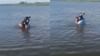 Viral Video : ਮਗਰਮੱਛ ਨੂੰ ਗੋਦੀ ਵਿੱਚ ਫੜ ਕੇ ਮਸਤੀ ਕਰਦਾ ਨਜ਼ਰ ਆਇਆ ਸ਼ਖਸ Viral Video : ਮਗਰਮੱਛ ਨੂੰ ਗੋਦੀ ਵਿੱਚ ਫੜ ਕੇ ਮਸਤੀ ਕਰਦਾ ਨਜ਼ਰ ਆਇਆ ਸ਼ਖਸ...