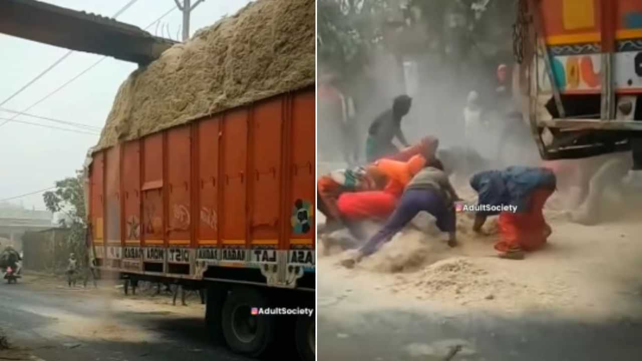 Viral Video : ਸਾਵਧਾਨੀ ਹਟੀ,  ਤੂੜੀ ਘੱਟੀ! ਭਰੇ ਟਰੱਕ ਤੋਂ ਡਿੱਗਿਆ ਚਾਰਾ, ਲੁਟਣ ਲਈ ਭੱਜੇ ਲੋਕ