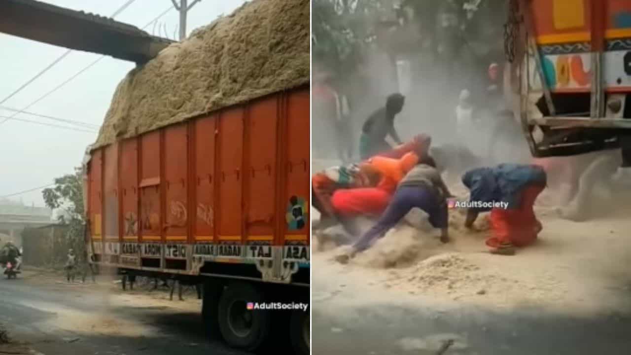 Viral Video : ਸਾਵਧਾਨੀ ਹਟੀ, ਤੂੜੀ ਘੱਟੀ! ਭਰੇ ਟਰੱਕ ਤੋਂ ਡਿੱਗਿਆ ਚਾਰਾ, ਲੁਟਣ ਲਈ ਭੱਜੇ ਲੋਕ Viral Video : ਸਾਵਧਾਨੀ ਹਟੀ, ਤੂੜੀ ਘੱਟੀ! ਭਰੇ ਟਰੱਕ ਤੋਂ ਡਿੱਗਿਆ ਚਾਰਾ, ਲੁਟਣ ਲਈ ਭੱਜੇ ਲੋਕ