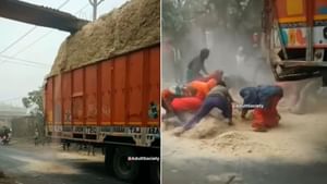 Viral Video : ਸਾਵਧਾਨੀ ਹਟੀ, ਤੂੜੀ ਘੱਟੀ! ਭਰੇ ਟਰੱਕ ਤੋਂ ਡਿੱਗਿਆ ਚਾਰਾ