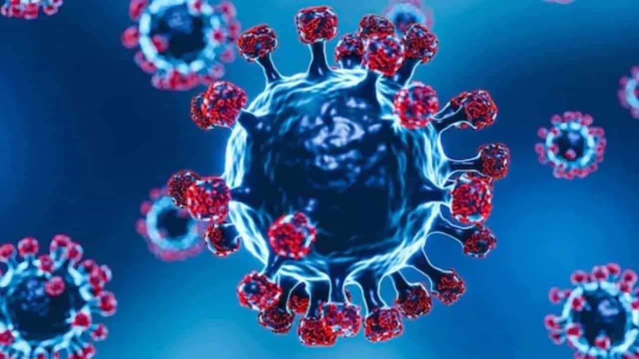 ਲੁਧਿਆਣਾ ਚ 4 ਨਵੇਂ ਕੋਵਿਡ ਮਾਮਲੇ ਆਏ ਸਾਹਮਣੇ, 27 ਮਰੀਜ਼ ਕੋਵਿਡ ਐਕਟਿਵ