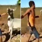 Viral Video: ਗਧੇ ਨਾਲ ਕੁੱਟਮਾਰ ਕਰ ਰਿਹਾ ਸੀ ਸ਼ਖਸ, ਜਾਨਵਰ ਨੇ ਭੰਬੀਰੀ ਬਣਾ ਕੇ ਜ਼ਮੀਨ ‘ਤੇ ਘੁਮਾਇਆ Viral Video: ਗਧੇ ਨਾਲ ਕੁੱਟਮਾਰ ਕਰ ਰਿਹਾ ਸੀ ਸ਼ਖਸ, ਜਾਨਵਰ ਨੇ ਭੰਬੀਰੀ ਬਣਾ ਕੇ ਜ਼ਮੀਨ ‘ਤੇ ਘੁਮਾਇਆ