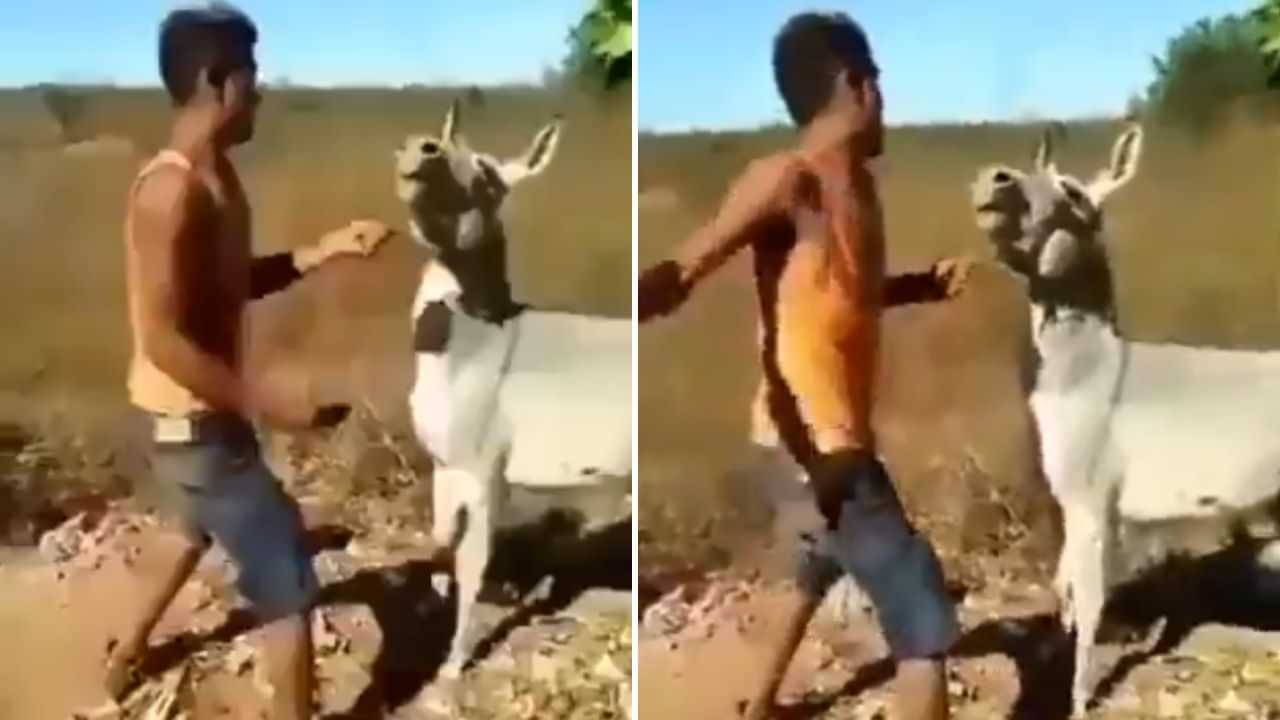 Viral Video: ਗਧੇ ਨਾਲ ਕੁੱਟਮਾਰ ਕਰ ਰਿਹਾ ਸੀ ਸ਼ਖਸ, ਜਾਨਵਰ ਨੇ ਭੰਬੀਰੀ ਬਣਾ ਕੇ ਜ਼ਮੀਨ ਤੇ ਘੁਮਾਇਆ