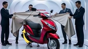 Suzuki-TVS ਨੂੰ ਨਹੀਂ ਲੱਗੀ ਹਵਾ! ਇਸ ਸਕੂਟਰ ਦੇ ਵਿੱਕ ਗਏ 25 ਲੱਖ ਤੋਂ ਵੱਧ ਮਾਡਲਸ