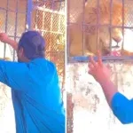 Viral Video: ਪਿੰਜਰੇ ਵਿੱਚ ਬੰਦ ਸ਼ੇਰ ਨੂੰ ਉਕਸਾਉਣ ਦਾ ਦੇਖੋ ਕੀ ਹੋਇਆ ਅੰਜਾਮ, ਰੌਂਗਟੇ ਖੜ੍ਹੇ ਕਰ ਦੇਵੇਗੀ ਵੀਡੀਓ Viral Video: ਪਿੰਜਰੇ ਵਿੱਚ ਬੰਦ ਸ਼ੇਰ ਨੂੰ ਉਕਸਾਉਣ ਦਾ ਦੇਖੋ ਕੀ ਹੋਇਆ ਅੰਜਾਮ, ਰੌਂਗਟੇ ਖੜ੍ਹੇ ਕਰ ਦੇਵੇਗੀ ਵੀਡੀਓ