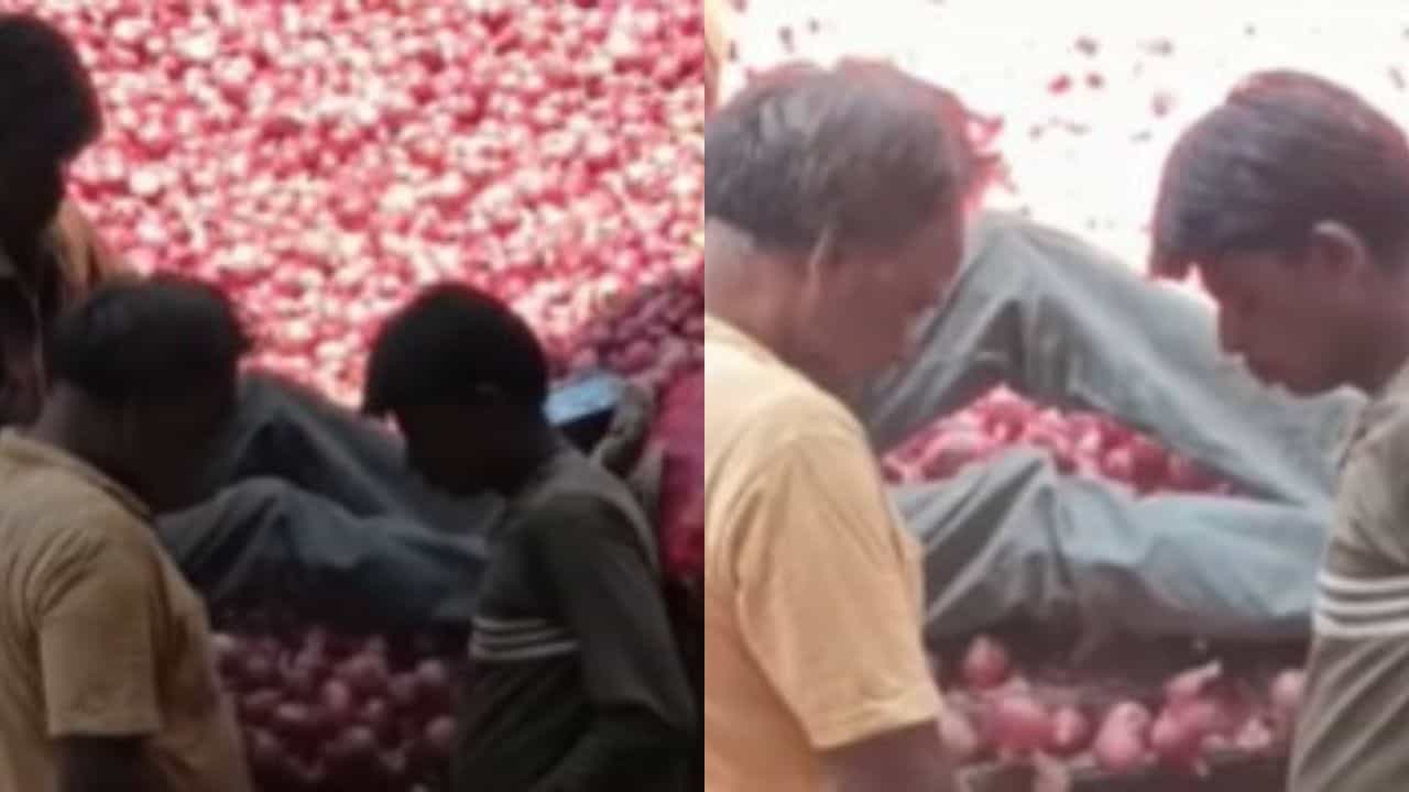 Viral Video : ਭਰਾ ਦਾ ਦਿਮਾਗ ਸੁਪਰ ਤੋਂ ਵੀ ਉੱਪਰ ਕਰਦਾ ਹੈ ਕੰਮ, ਵੀਡੀਓ ਦੇਖਣ ਤੋਂ ਬਾਅਦ ਤੁਸੀਂ ਵੀ ਕਰੋਗੇ ਸ਼ਲਾਘਾ Viral Video : ਭਰਾ ਦਾ ਦਿਮਾਗ ਸੁਪਰ ਤੋਂ ਵੀ ਉੱਪਰ ਕਰਦਾ ਹੈ ਕੰਮ, ਵੀਡੀਓ ਦੇਖਣ ਤੋਂ ਬਾਅਦ ਤੁਸੀਂ ਵੀ ਕਰੋਗੇ ਸ਼ਲਾਘਾ