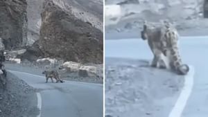Spiti Valley ਵਿੱਚ ਸੈਲਾਨੀਆਂ ਨੂੰ ਦਿਸਿਆ 'ਪਹਾੜਾਂ ਦਾ ਭੂਤ', VIDEO ਵਾਇਰਲ