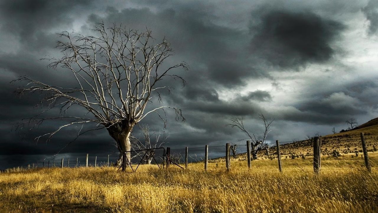 weather (12)