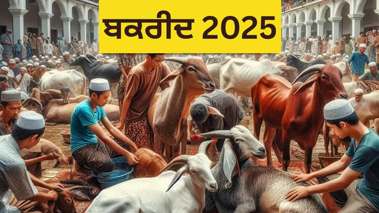 ਈਦ ਤੇ  ਨਾ ਦਵੋ ਕੁਰਬਾਨੀ, ਇਸ ਮੁਸਲਿਮ ਦੇਸ਼ ਦੇ ਰਾਜੇ ਨੇ ਅਜਿਹਾ ਕਿਉਂ ਕਿਹਾ?