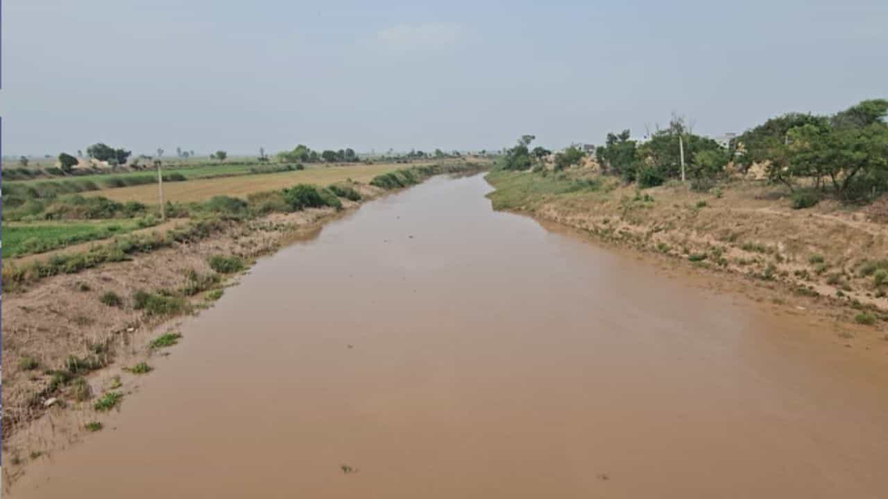 ਸੰਗਰੂਰ ਚ ਘੱਗਰ ਨਦੀ ਦੇ ਪਾਣੀ ਦਾ ਪੱਧਰ 730 ਫੁੱਟ ਪਹੁੰਚਿਆ, ਖ਼ਤਰੇ ਦਾ ਨਿਸ਼ਾਨ 748 ਫੁੱਟ ਸੰਗਰੂਰ ਚ ਘੱਗਰ ਨਦੀ ਦੇ ਪਾਣੀ ਦਾ ਪੱਧਰ 730 ਫੁੱਟ ਪਹੁੰਚਿਆ, ਖ਼ਤਰੇ ਦਾ ਨਿਸ਼ਾਨ 748 ਫੁੱਟ