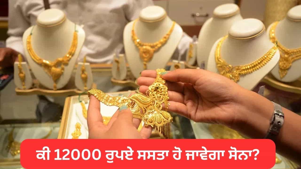 ਕੀ 12000 ਰੁਪਏ ਸਸਤਾ ਹੋ ਜਾਵੇਗਾ ਸੋਨਾ, ਮਾਹਰ ਨੇ ਦੱਸਿਆ ਵੱਡਾ ਕਾਰਨ