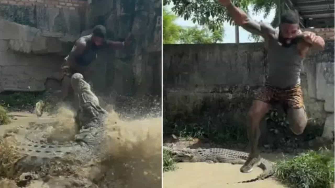 Viral Video: ਮਗਰਮੱਛ ਨੂੰ ਛੇੜ ਖ਼ਤਰਿਆਂ ਦਾ ਖਿਡਾਰੀ ਬਣ ਰਿਹਾ ਸੀ ਸ਼ਖਸ, ਅੱਗੇ ਜੋ ਹੋਇਆ ਵੇਖ ਕੇ ਡਰ ਗਏ ਲੋਕ