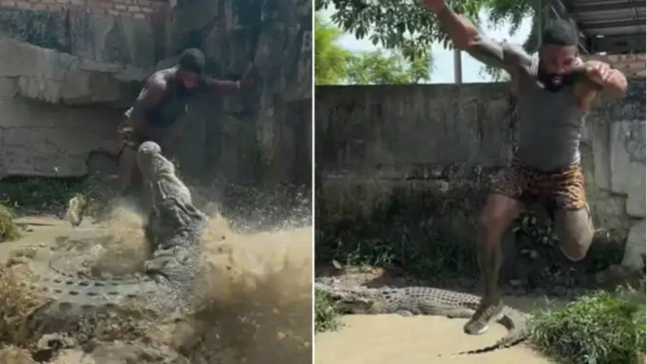 Viral Video: ਮਗਰਮੱਛ ਨੂੰ ਛੇੜ ਖ਼ਤਰਿਆਂ ਦਾ ਖਿਡਾਰੀ ਬਣ ਰਿਹਾ ਸੀ ਸ਼ਖਸ, ਅੱਗੇ ਜੋ ਹੋਇਆ ਵੇਖ ਕੇ ਡਰ ਗਏ ਲੋਕ Viral Video: ਮਗਰਮੱਛ ਨੂੰ ਛੇੜ ਖ਼ਤਰਿਆਂ ਦਾ ਖਿਡਾਰੀ ਬਣ ਰਿਹਾ ਸੀ ਸ਼ਖਸ, ਅੱਗੇ ਜੋ ਹੋਇਆ ਵੇਖ ਕੇ ਡਰ ਗਏ ਲੋਕ