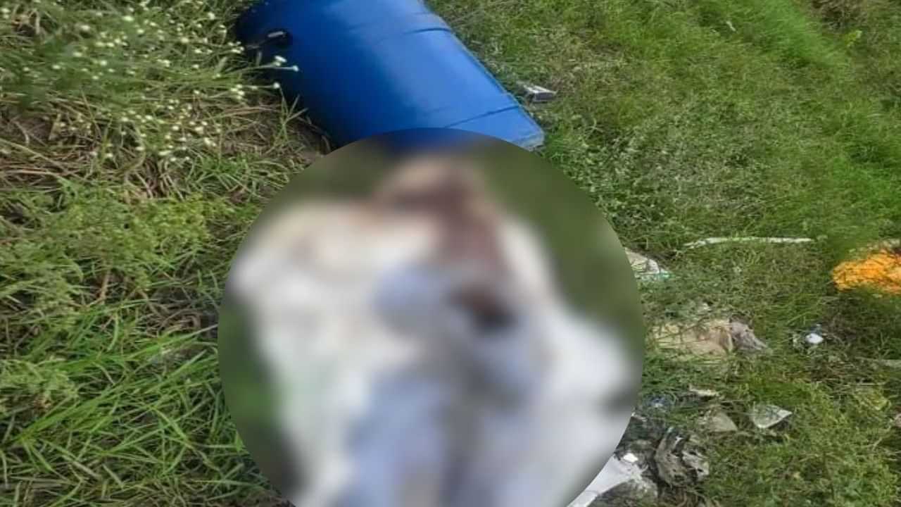 ਲੁਧਿਆਣਾ: ਨੀਲੇ ਡਰੱਮ ਚੋਂ ਮਿਲੀ ਲਾਸ਼ ਦੀ ਗੁਥੀ ਸੁਲਝੀ, ਮਹਿਲਾ ਸਣੇ 6 ਮਲਜ਼ਮ ਕਾਬੂ ਲੁਧਿਆਣਾ: ਨੀਲੇ ਡਰੱਮ ਚੋਂ ਮਿਲੀ ਲਾਸ਼ ਦੀ ਗੁਥੀ ਸੁਲਝੀ, ਮਹਿਲਾ ਸਣੇ 6 ਮਲਜ਼ਮ ਕਾਬੂ