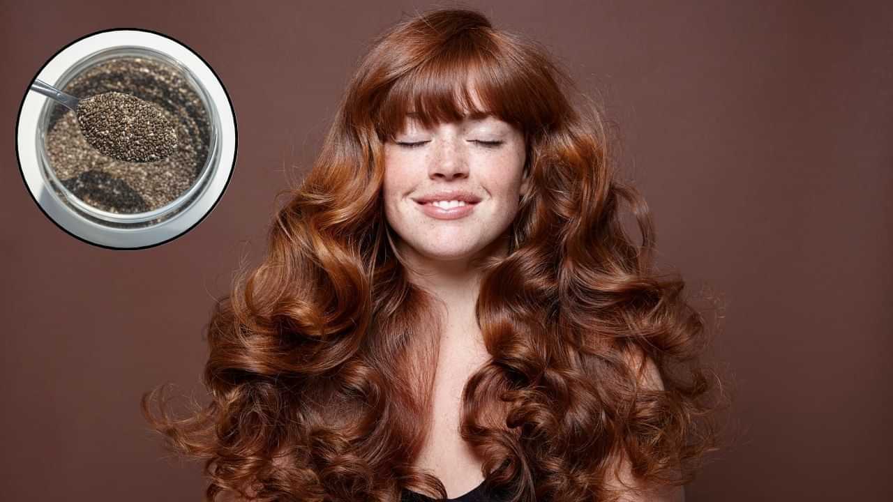 ਵਾਲਾਂ ਲਈ ਵਰਦਾਨ ਹਨ ਚੀਆ ਸੀਡਜ਼, ਇਸ ਤਰ੍ਹਾਂ ਕਰੋ ਇਸਤੇਮਾਲ ਵਾਲਾਂ ਲਈ ਵਰਦਾਨ ਹਨ ਚੀਆ ਸੀਡਜ਼, ਇਸ ਤਰ੍ਹਾਂ ਕਰੋ ਇਸਤੇਮਾਲ