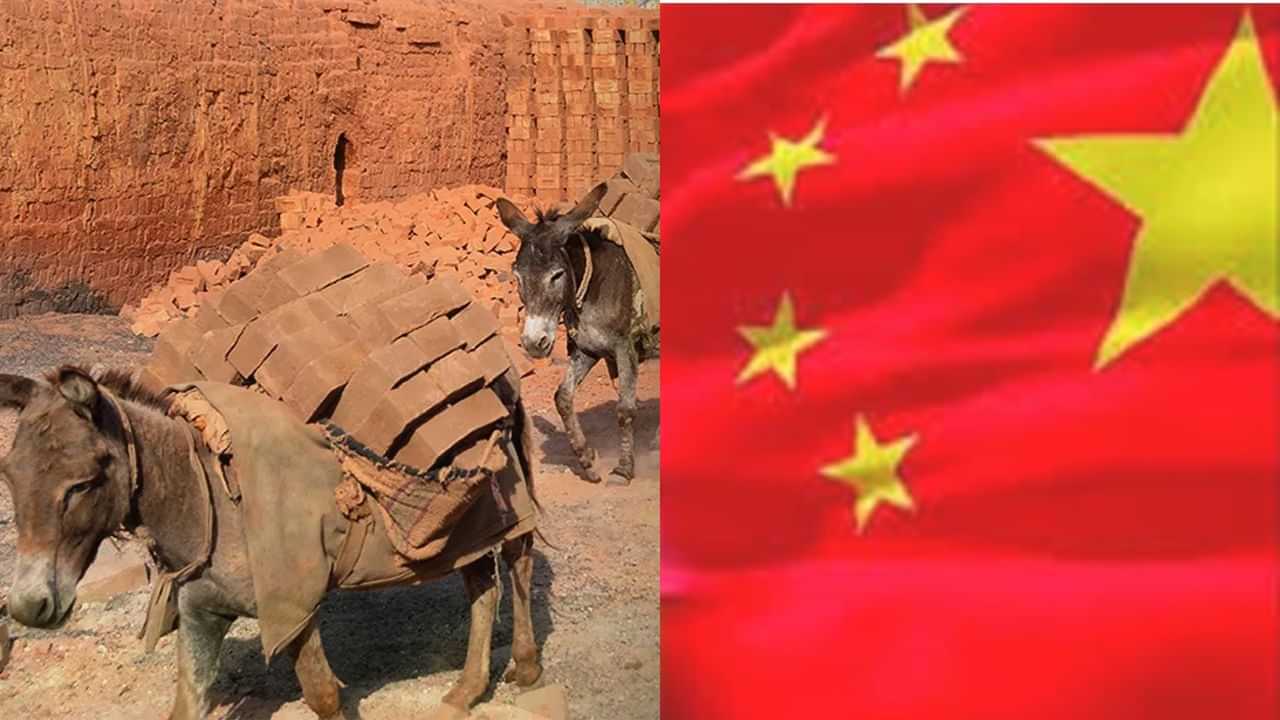 58,000 ਕਰੋੜ ਦੇ ਉਦਯੋਗ ਤੇ ਮੰਡਰਾ ਰਿਹਾ ਹੈ ਸੰਕਟ, ਗਧਿਆਂ ਦੇ ਭਰੋਸੇ ਡ੍ਰੈਗਨ ਦੀ ਆਰਥਿਕਤਾ! 58,000 ਕਰੋੜ ਦੇ ਉਦਯੋਗ ਤੇ ਮੰਡਰਾ ਰਿਹਾ ਹੈ ਸੰਕਟ, ਗਧਿਆਂ ਦੇ ਭਰੋਸੇ ਡ੍ਰੈਗਨ ਦੀ ਆਰਥਿਕਤਾ!