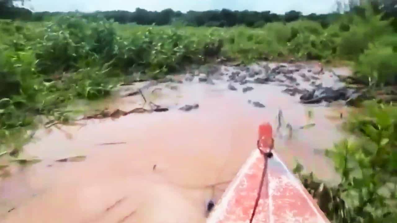 OMG: ਮੌਤ ਦੀ ਨਦੀ ਵਿੱਚ ਸ਼ਖਸ ਦੀ ਨਿਡਰ ਸਵਾਰੀ, ਮਗਰਮੱਛਾਂ ਨੇ ਦਿੱਤਾ VIP ਰਸਤਾ!