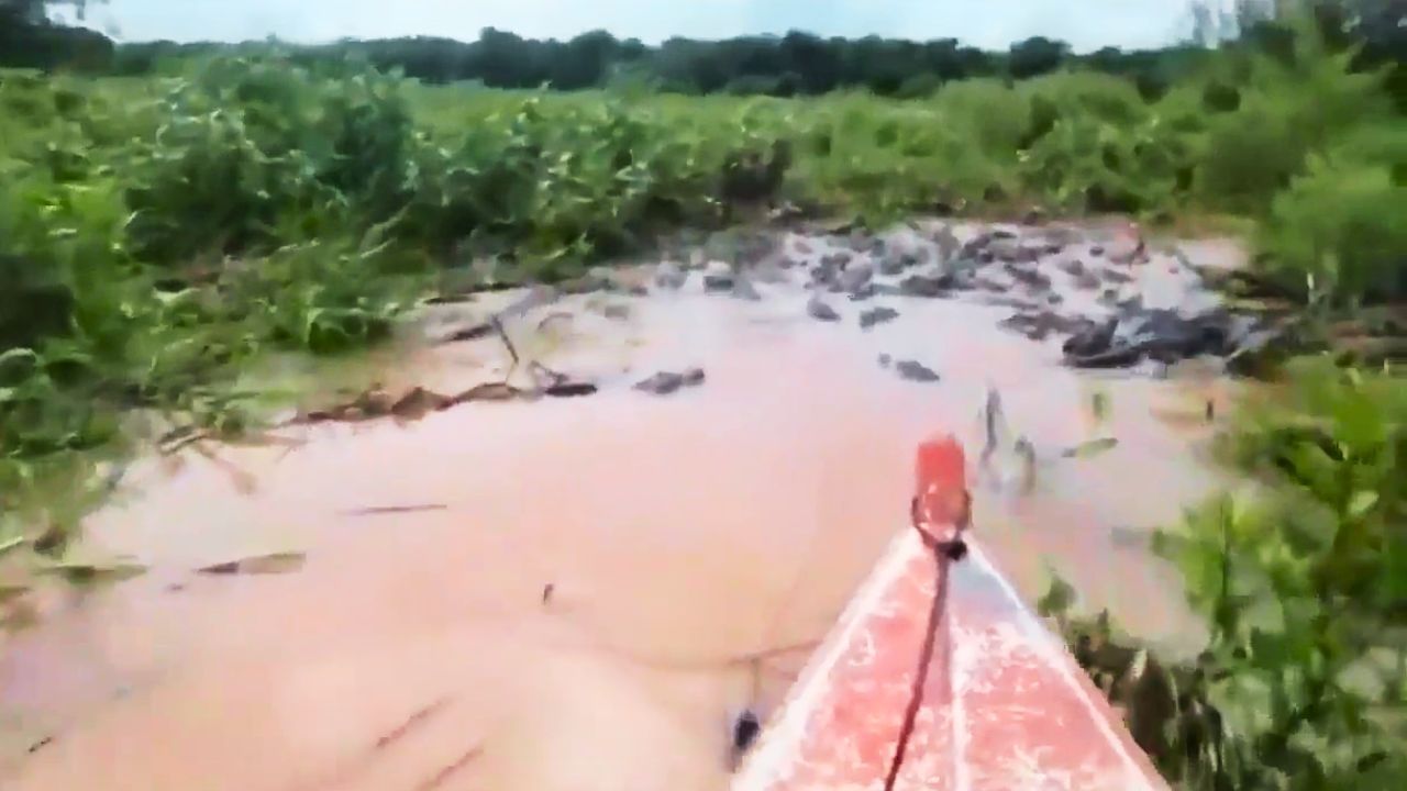 OMG: ਮੌਤ ਦੀ ਨਦੀ ਵਿੱਚ ਸ਼ਖਸ ਦੀ ਨਿਡਰ ਸਵਾਰੀ, ਮਗਰਮੱਛਾਂ ਨੇ ਦਿੱਤਾ VIP ਰਸਤਾ!