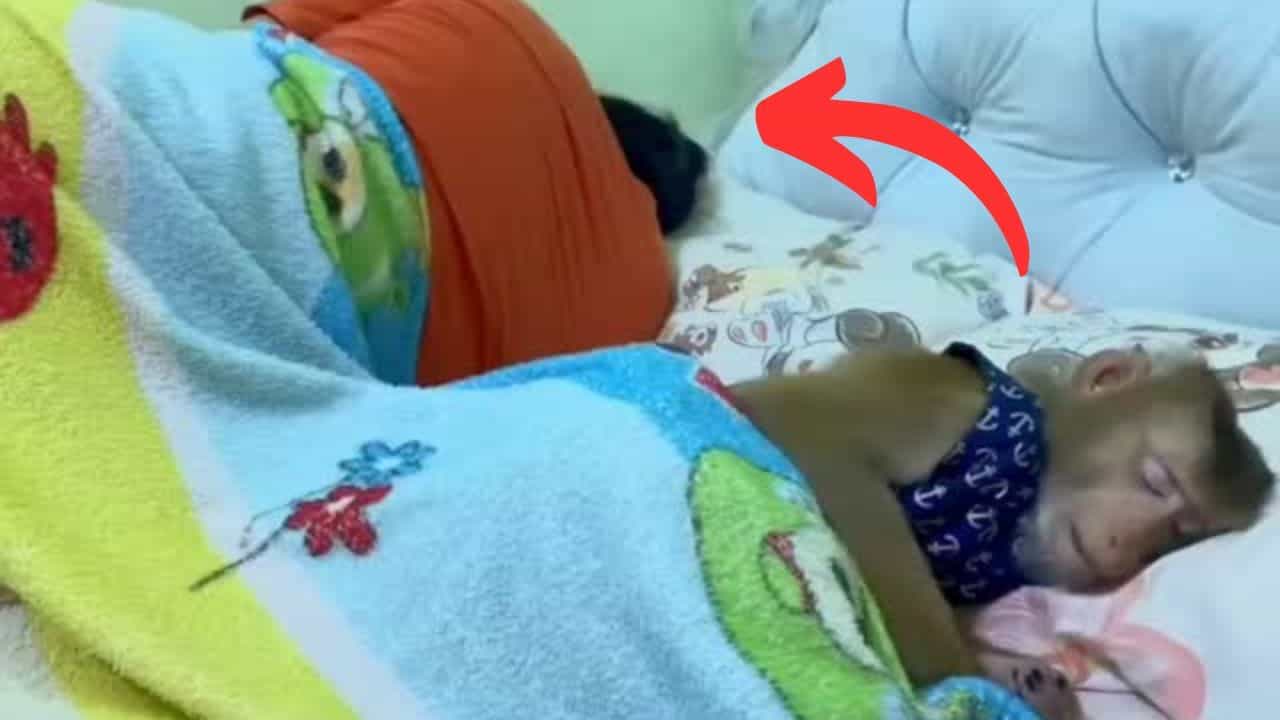 ਬਾਂਦਰ ਨੇ ਬੀਮਾਰ ਦੋਸਤ ਦੀ ਇਸ ਤਰ੍ਹਾਂ ਕੀਤੀ ਦੇਖਭਾਲ, VIDEO ਦੇਖ ਭਾਵੁਕ ਹੋਏ ਲੋਕ ਬਾਂਦਰ ਨੇ ਬੀਮਾਰ ਦੋਸਤ ਦੀ ਇਸ ਤਰ੍ਹਾਂ ਕੀਤੀ ਦੇਖਭਾਲ, VIDEO ਦੇਖ ਭਾਵੁਕ ਹੋਏ ਲੋਕ