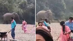 ਜੰਗਲ 'ਚ ਪਿਕਨਿਕ ਮਨਾ ਰਹੇ ਸੀ ਲੋਕ, ਅਚਾਨਕ ਆ ਗਿਆ ਹਾਥੀ-VIDEO