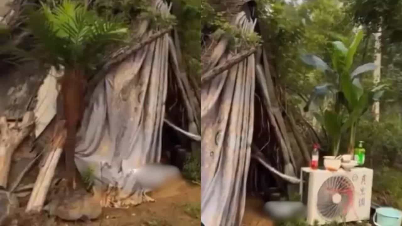 Viral Video: ਬਾਹਰੋਂ ਝੌਂਪੜੀ...ਅੰਦਰ ਦਿਖਿਆ ਆਲੀਸ਼ਾਨ ਨਜ਼ਾਰਾ! VIDEO ਦੇਖ ਦੰਗ ਰਹਿ ਗਏ ਲੋਕ