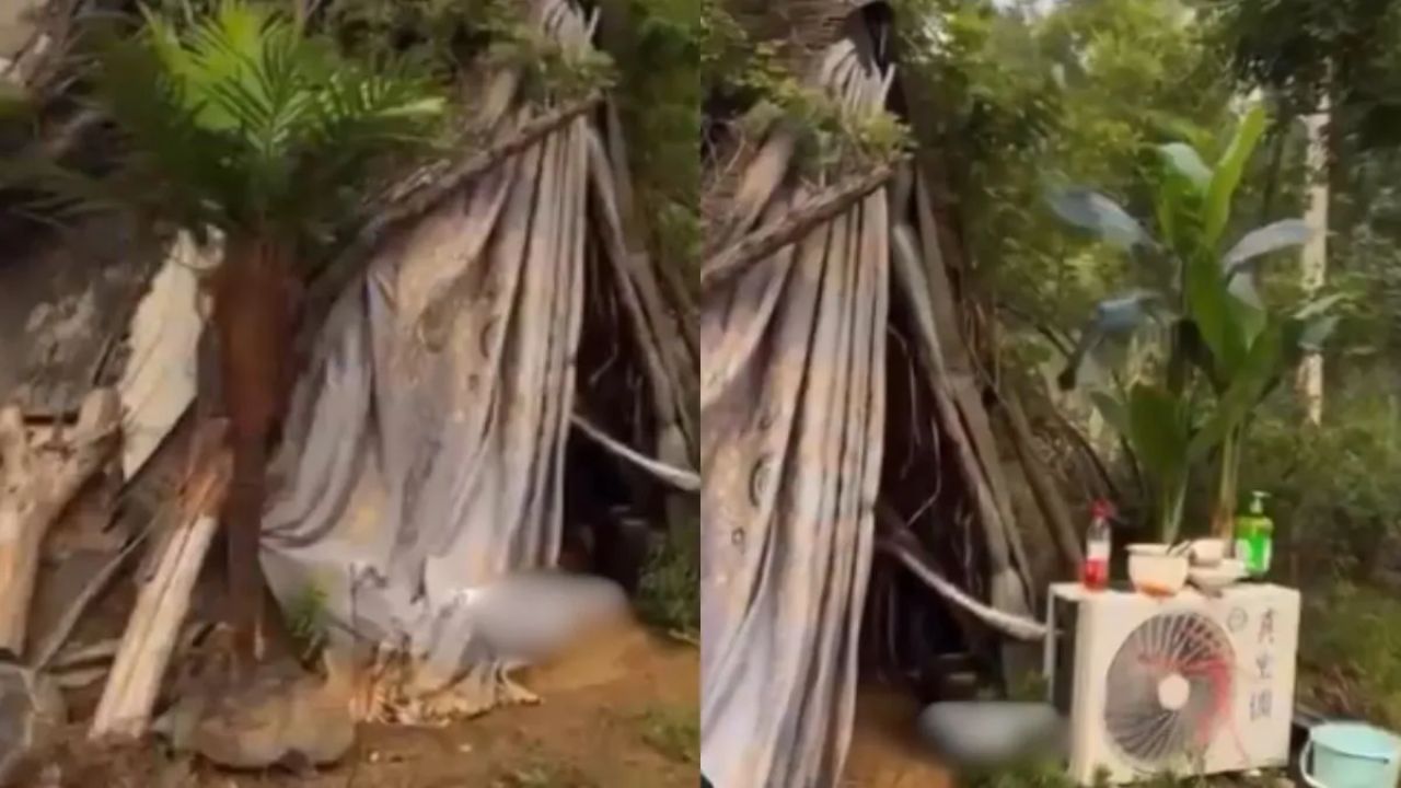 Viral Video: ਬਾਹਰੋਂ ਝੌਂਪੜੀ…ਅੰਦਰ ਦਿਖਿਆ ਆਲੀਸ਼ਾਨ ਨਜ਼ਾਰਾ! VIDEO ਦੇਖ ਦੰਗ ਰਹਿ ਗਏ ਲੋਕ Viral Video: ਬਾਹਰੋਂ ਝੌਂਪੜੀ…ਅੰਦਰ ਦਿਖਿਆ ਆਲੀਸ਼ਾਨ ਨਜ਼ਾਰਾ! VIDEO ਦੇਖ ਦੰਗ ਰਹਿ ਗਏ ਲੋਕ