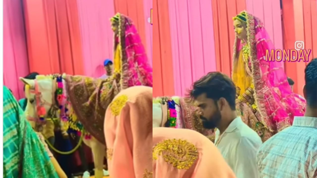 Viral Video: ਘੋੜੀ ‘ਤੇ ਸਵਾਰ ਹੋ ਕੇ ਲਾੜੀ ਨੇ ਕੀਤੀ ਸ਼ਾਨਦਾਰ ਐਂਟਰੀ, ਦੇਖ ਕੇ ਮਹਿਮਾਨ ਰਹਿ ਗਏ ਦੰਗ Viral Video: ਘੋੜੀ ‘ਤੇ ਸਵਾਰ ਹੋ ਕੇ ਲਾੜੀ ਨੇ ਕੀਤੀ ਸ਼ਾਨਦਾਰ ਐਂਟਰੀ, ਦੇਖ ਕੇ ਮਹਿਮਾਨ ਰਹਿ ਗਏ ਦੰਗ