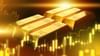 Gold Price Hike: ਸੋਨੇ 'ਤੇ ਸਭ ਤੋਂ ਵੱਡਾ ਦਾਅਵਾ, ਇੱਕ ਸਾਲ ਵਿੱਚ ਇੰਨੇ ਪ੍ਰਤੀਸ਼ਤ ਵਧੇਗੀ ਕੀਮਤ! Gold Price Hike: ਸੋਨੇ 'ਤੇ ਸਭ ਤੋਂ ਵੱਡਾ ਦਾਅਵਾ, ਇੱਕ ਸਾਲ ਵਿੱਚ ਇੰਨੇ ਪ੍ਰਤੀਸ਼ਤ ਵਧੇਗੀ ਕੀਮਤ!...