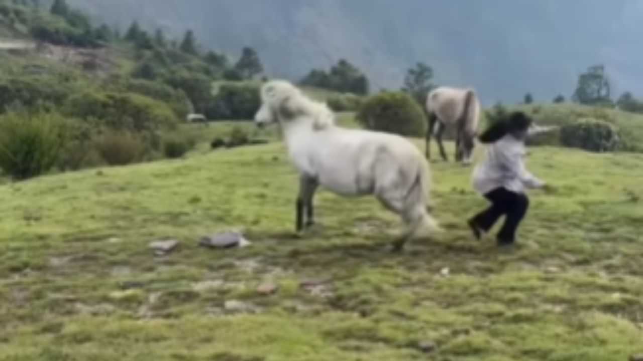 Funny Video: ਕੁੜੀ ਪਹਾੜਾਂ ਤੇ ਬਣਾ ਰਹੀ ਸੀ Reel, ਘੋੜੇ ਨੇ ਪਿੱਛੇ ਮੁੜ ਕੇ ਮਾਰੀ ਜ਼ੋਰਦਾਰ ਲੱਤ,  ਲੋਕ ਬੋਲੇ- Kickass Performance