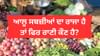 ਆਲੂ ਸਬਜ਼ੀਆਂ ਦਾ ਰਾਜਾ ਹੈ ਤਾਂ ਫਿਰ ਰਾਣੀ ਕੌਣ ਹੈ? ਇੱਥੇ ਜਾਣੋ ਸਹੀ ਜਵਾਬ ਆਲੂ ਸਬਜ਼ੀਆਂ ਦਾ ਰਾਜਾ ਹੈ ਤਾਂ ਫਿਰ ਰਾਣੀ ਕੌਣ ਹੈ? ਇੱਥੇ ਜਾਣੋ ਸਹੀ ਜਵਾਬ...