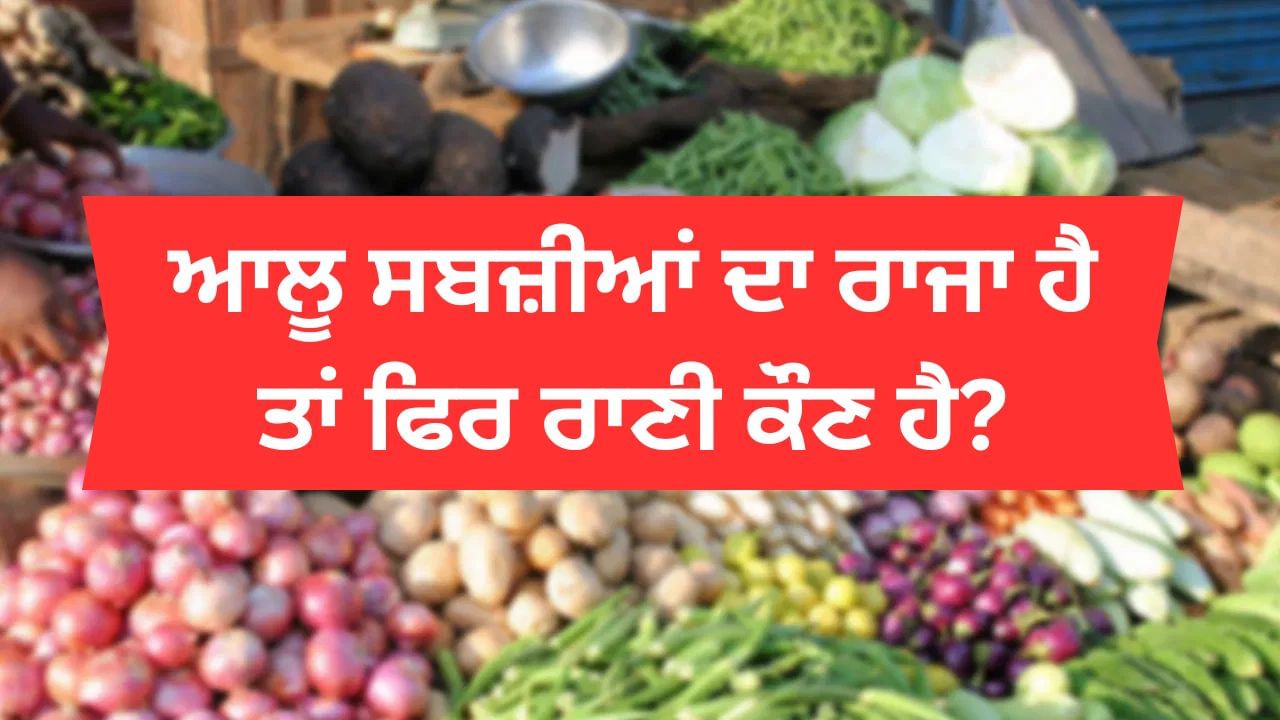 ਆਲੂ ਸਬਜ਼ੀਆਂ ਦਾ ਰਾਜਾ ਹੈ ਤਾਂ ਫਿਰ ਰਾਣੀ ਕੌਣ ਹੈ?  ਇੱਥੇ ਜਾਣੋ ਸਹੀ ਜਵਾਬ