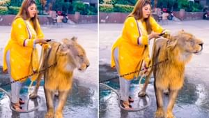 ਸ਼ੇਰ ਨੂੰ ਬੱਚਿਆਂ ਵਾਂਗ ਰਗੜਦੇ ਹੋਏ ਨਹਾਉਂਦੀ ਨਜ਼ਰ ਆਈ ਔਰਤ, ਵੀਡੀਓ ਨੇ ਉਡਾਏ ਹੋਸ਼