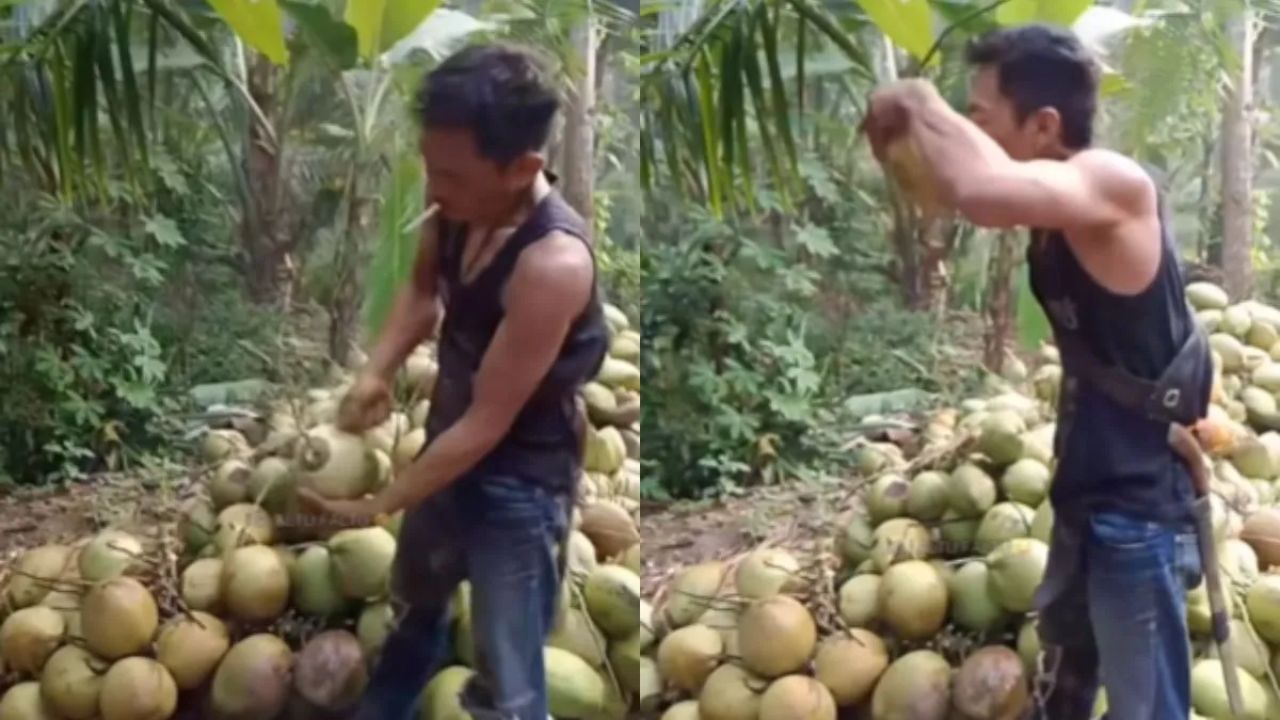 Viral Video: ਸ਼ਖਸ ਨੇ ਹੱਥਾਂ ਨਾਲ ਕੀਤਾ ਹਥੌੜੇ ਦਾ ਕੰਮ ! ਇੱਕ ਮੁੱਕੇ ਵਿੱਚ ਤੋੜ ਦਿੱਤਾ ਨਾਰੀਅਲ Viral Video: ਸ਼ਖਸ ਨੇ ਹੱਥਾਂ ਨਾਲ ਕੀਤਾ ਹਥੌੜੇ ਦਾ ਕੰਮ ! ਇੱਕ ਮੁੱਕੇ ਵਿੱਚ ਤੋੜ ਦਿੱਤਾ ਨਾਰੀਅਲ
