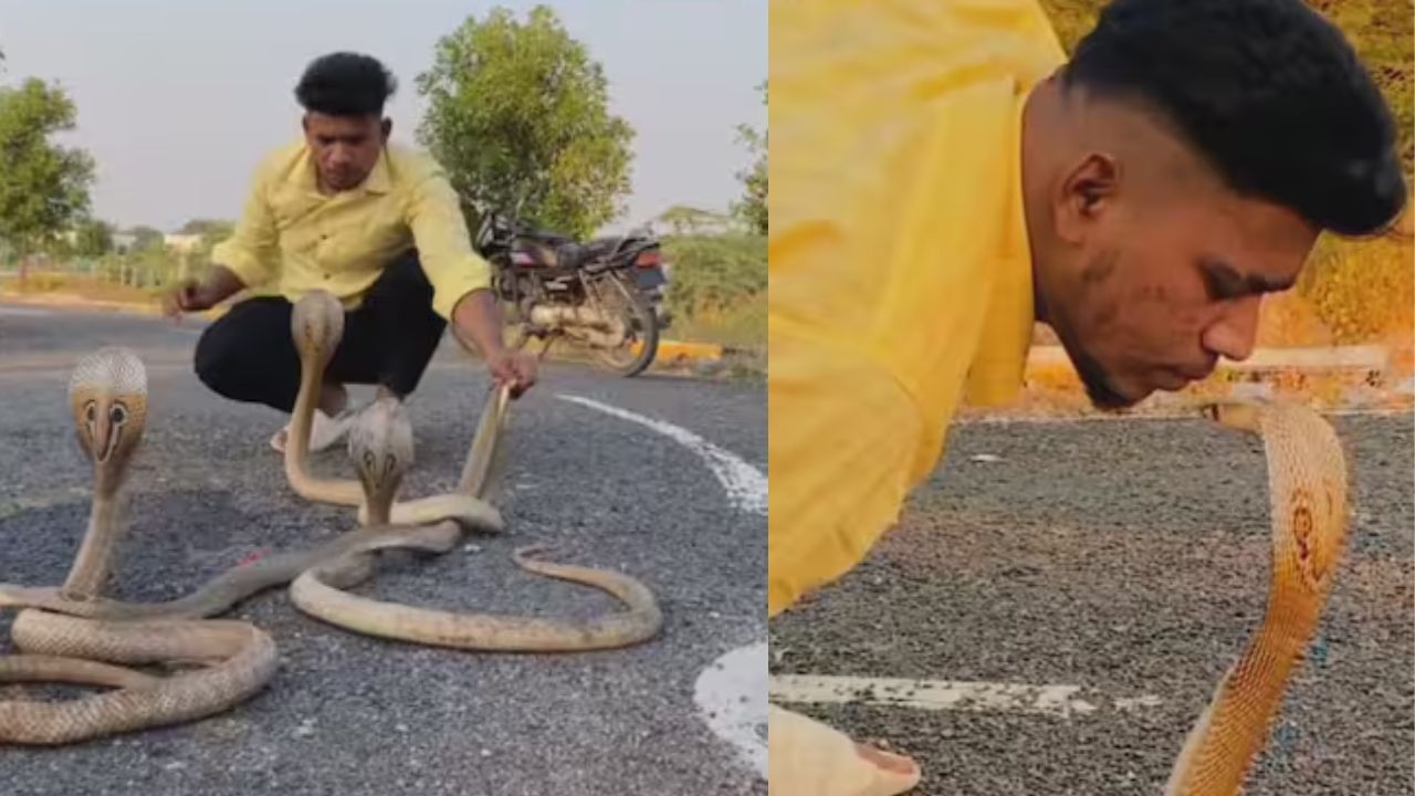 OMG: ਸ਼ਖਸ ਨੇ ਜ਼ਹਿਰੀਲੇ ਸੱਪ ਨੂੰ ਕੀਤਾ Kiss, ਲਾਈਕਸ ਅਤੇ ਵਿਊਜ਼ ਲਈ ਸੜਕ ‘ਤੇ ਖੇਡਿਆ ਖ਼ਤਰਨਾਕ ਖੇਡ