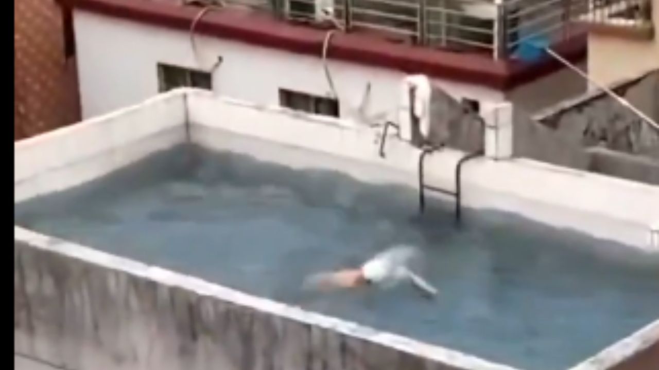 ਸ਼ਖਸ ਨੇ ਜੁਗਾੜ ਨਾਲ ਛੱਤ ‘ਤੇ ਬਣਾਇਆ Swimming Pool, ਦੇਖੋ ਮਜ਼ੇਦਾਰ VIDEO ਸ਼ਖਸ ਨੇ ਜੁਗਾੜ ਨਾਲ ਛੱਤ ‘ਤੇ ਬਣਾਇਆ Swimming Pool, ਦੇਖੋ ਮਜ਼ੇਦਾਰ VIDEO