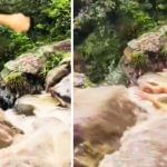 Viral Video: ਝਰਨੇ ਦੇ ਕੋਲ ਖੜ੍ਹੀ ਸੀ ਕੁੜੀਆਂ, ਫੈਰ ਫਿਸਲਿਆ…ਅੱਗੇ ਜੋ ਹੋਇਆ ਦੇਖ ਕੇ ਕੰਬ ਜਾਵੇਗੀ ਰੂਹ Viral Video: ਝਰਨੇ ਦੇ ਕੋਲ ਖੜ੍ਹੀ ਸੀ ਕੁੜੀਆਂ, ਫੈਰ ਫਿਸਲਿਆ…ਅੱਗੇ ਜੋ ਹੋਇਆ ਦੇਖ ਕੇ ਕੰਬ ਜਾਵੇਗੀ ਰੂਹ