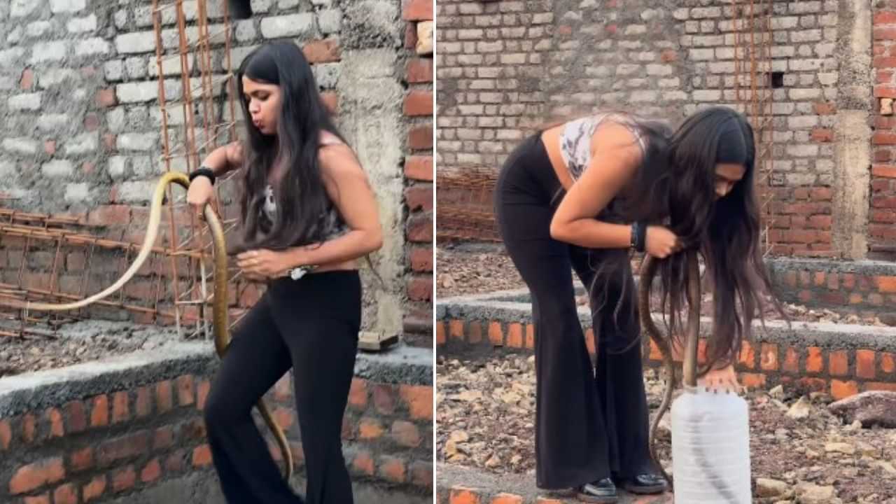 ਪੂਰੇ ਮੇਕਅੱਪ ਨਾਲ ਸੱਪ ਫੜਨ ਪਹੁੰਚੀ ਕੁੜੀ, ਗਲੈਮਰਸ ਸਨੇਕ ਕੈਚਰ ਦਾ ਵੀਡੀਓ ਹੋਇਆ ਵਾਇਰਲ ਪੂਰੇ ਮੇਕਅੱਪ ਨਾਲ ਸੱਪ ਫੜਨ ਪਹੁੰਚੀ ਕੁੜੀ, ਗਲੈਮਰਸ ਸਨੇਕ ਕੈਚਰ ਦਾ ਵੀਡੀਓ ਹੋਇਆ ਵਾਇਰਲ